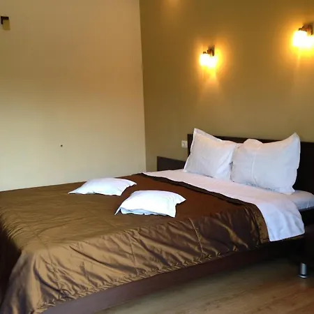 Vila Casa Andrei-maria Gasthuis 3*